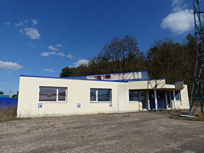 Local commercial Saint Avold 345 m2
