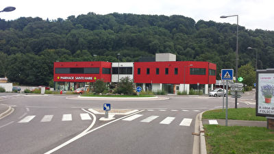 Local d'activite professionnelle Saint Avold