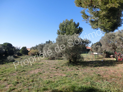 Terrain Vitrolles 443 m2