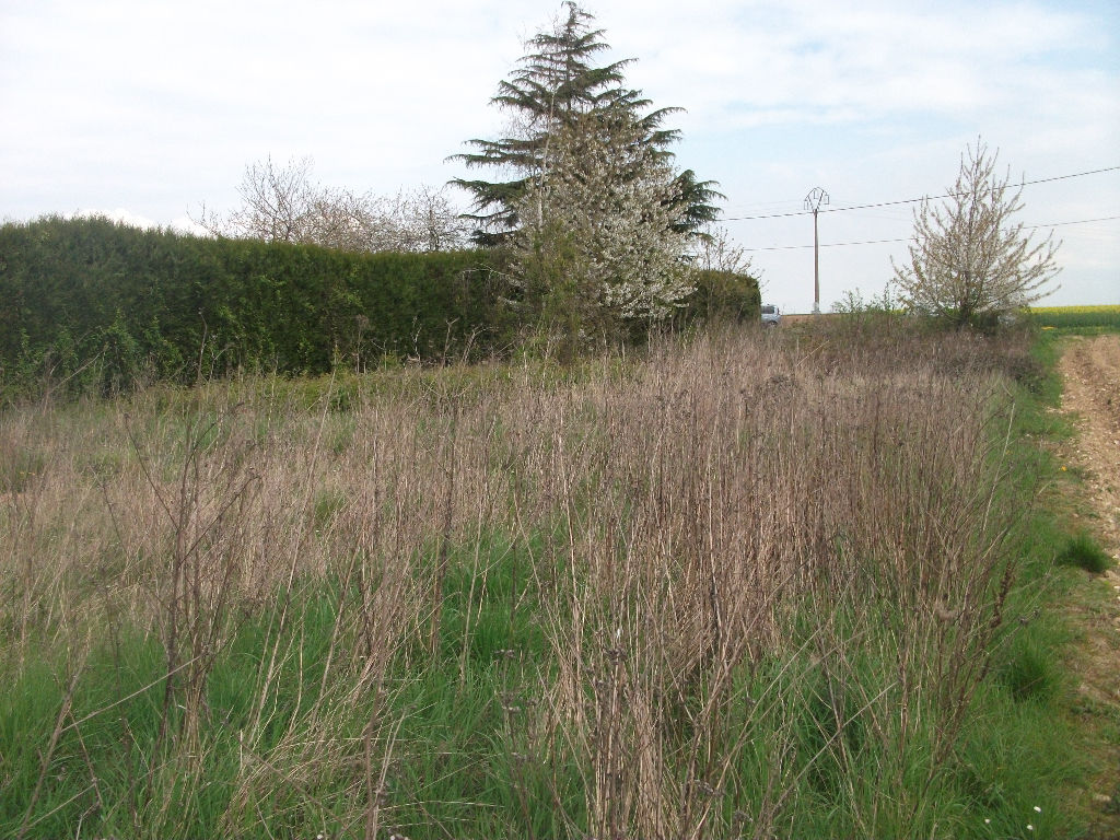 TERRAIN PLAT A BATIR NON VIABILISE DE 855M² TERRAIN PLAT A BATIR NON VIABILISE DE 855M²