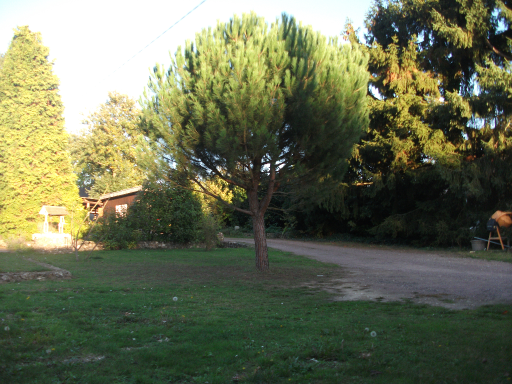TERRAIN A BATIR NON VIABILISE DE 760M² TERRAIN A BATIR NON VIABILISE DE 760M²