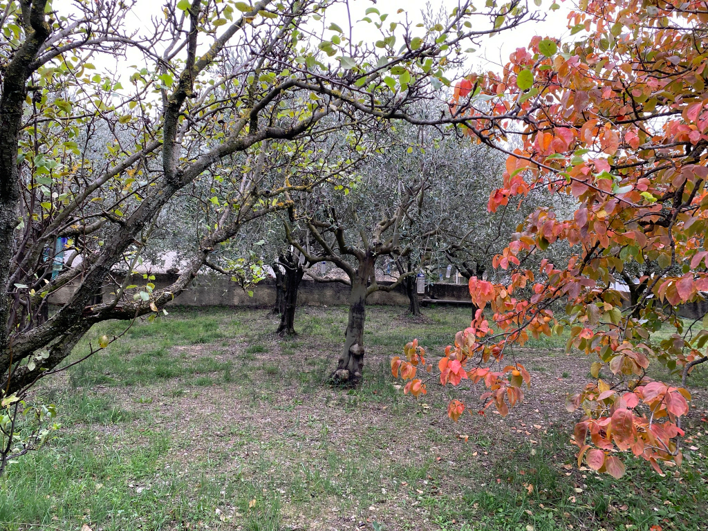 Terrain Suze La Rousse 1000 m2 Terrain Suze La Rousse 1000 m2