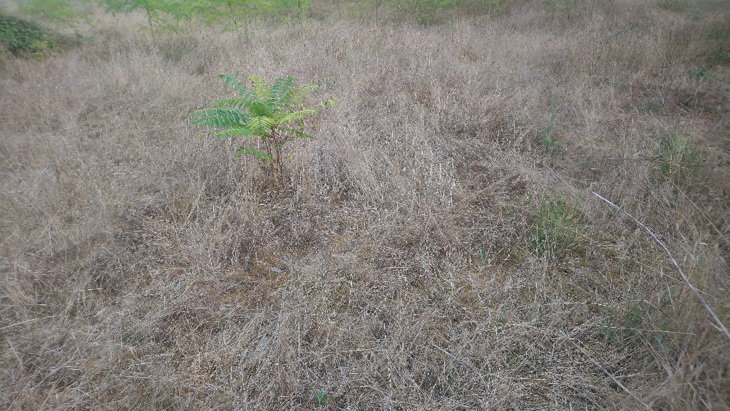 Terrain Escource 571 m2 Terrain Escource 571 m2