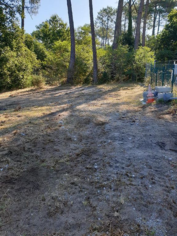 Terrain Bias 1050 m2 Terrain Bias 1050 m2