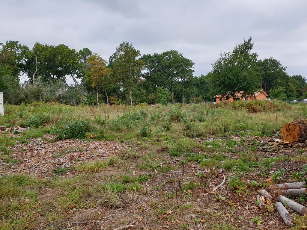 Terrain Labouheyre 3800 m2 Terrain Labouheyre 3800 m2