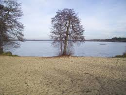 Terrain Mimizan 450 m2 Terrain Mimizan 450 m2