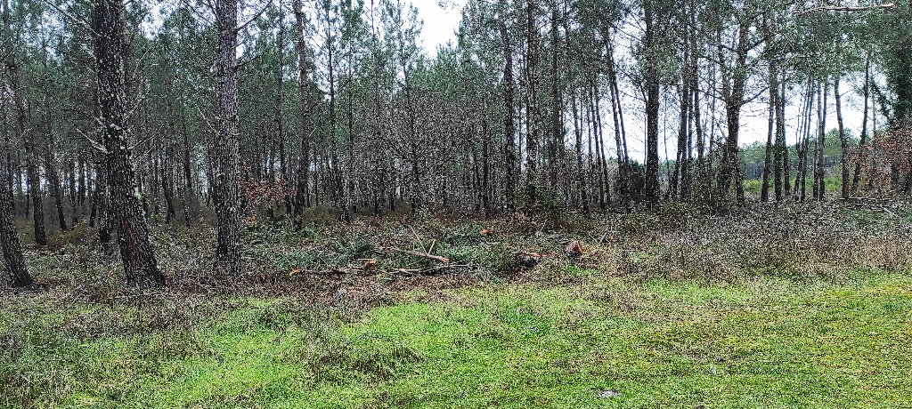 Grange Escource 200 m2 Grange Escource 200 m2
