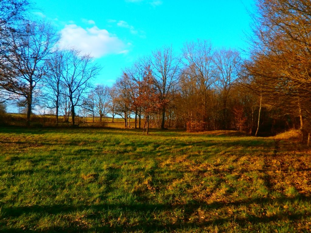 VIERZON BEAU TERRAIN A BATIR DE 7554 M2 VIERZON BEAU TERRAIN A BATIR DE 7554 M2