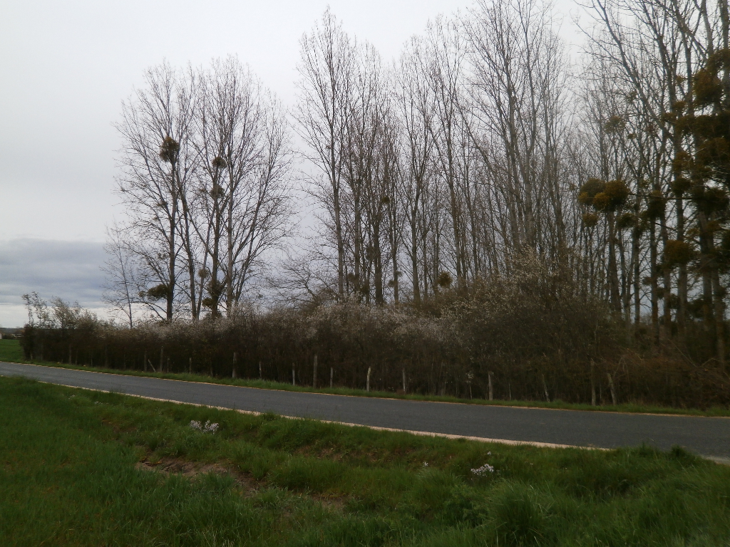TERRAIN DE LOISIRS 2370 M2 TOUS USAGES LIBRE TERRAIN DE LOISIRS 2370 M2 TOUS USAGES LIBRE