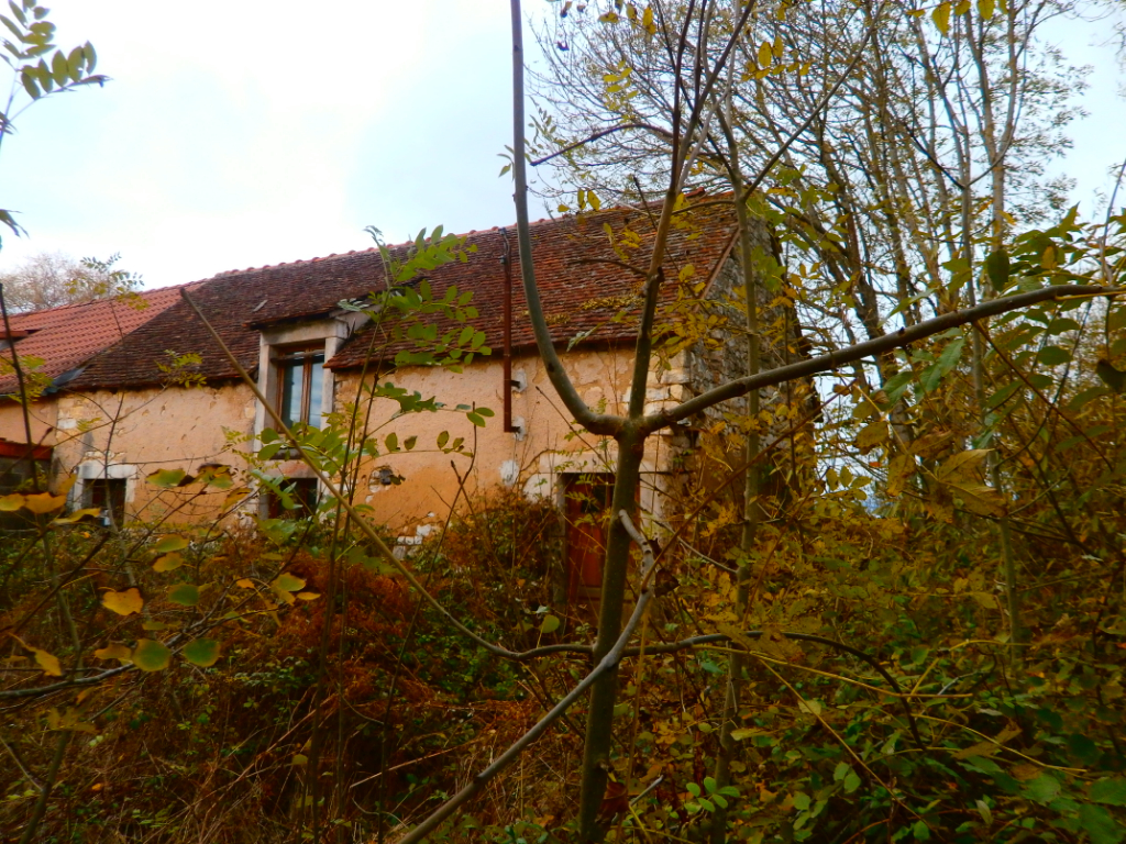 PRUNIER 2 MAISONS A RENOVER + DE TERRAIN PRUNIER 2 MAISONS A RENOVER + DE TERRAIN