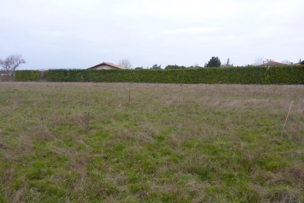 BRENS Terrain 5500 m² BRENS Terrain 5500 m²