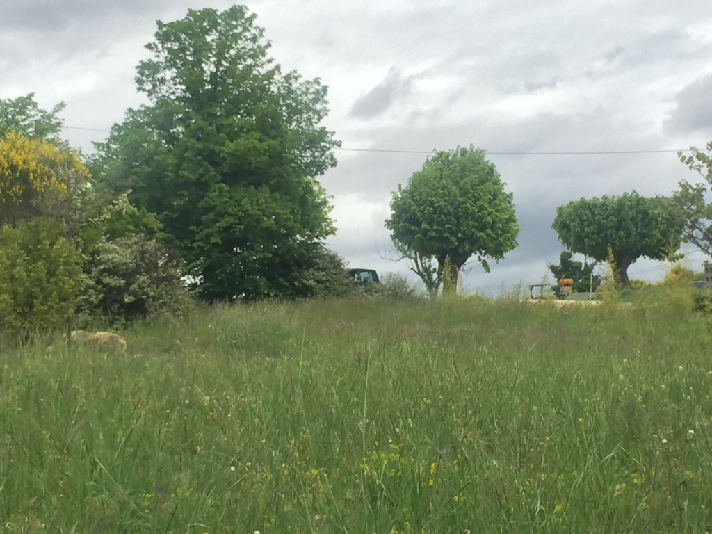 Magnifique Terrain constructible de 2100 m2 à Villedieu proche de Nyons et de Vaison la Romaine avec une vue magnifique 0668368774 Magnifique Terrain constructible de 2100 m2 à Villedieu proche de Nyons et de Vaison la Romaine avec une vue magnifique 0668368774