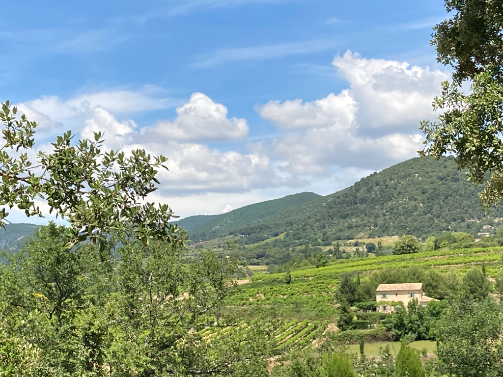 Magnifique Terrain à Faucon de 1804 m2 entièrement viabilisé avec une vue sur les montagnes et les vignes 0668368774 Magnifique Terrain à Faucon de 1804 m2 entièrement viabilisé avec une vue sur les montagnes et les vignes 0668368774