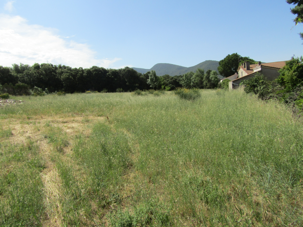 Terrain la Roche Saint Secret (26) 1269 m² viabilisé. 0633719987 Terrain la Roche Saint Secret (26) 1269 m² viabilisé. 0633719987