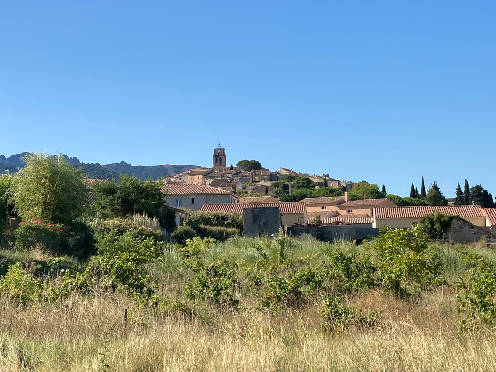 Magnifique Terrain plat 2000m2 constructible et viabilisé à Sablet et jolie vue du village et des Dentelles de Montmirail 0668368774 Magnifique Terrain plat 2000m2 constructible et viabilisé à Sablet et jolie vue du village et des Dentelles de Montmirail 0668368774