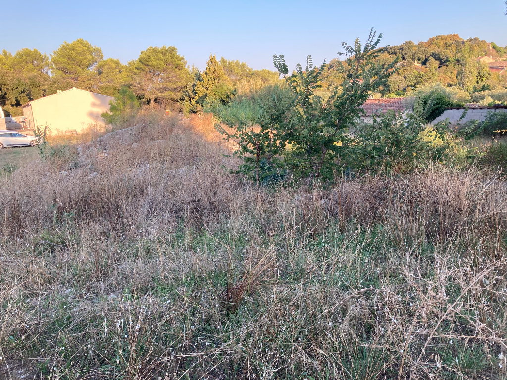 A Lagarde-Paréol, petit village de 330 habitants, Terrain plat constructible et viabilisé de 1180 m2 dans un endroit calme, Annie 0668368774 A Lagarde-Paréol, petit village de 330 habitants, Terrain plat constructible et viabilisé de 1180 m2 dans un endroit calme, Annie 0668368774
