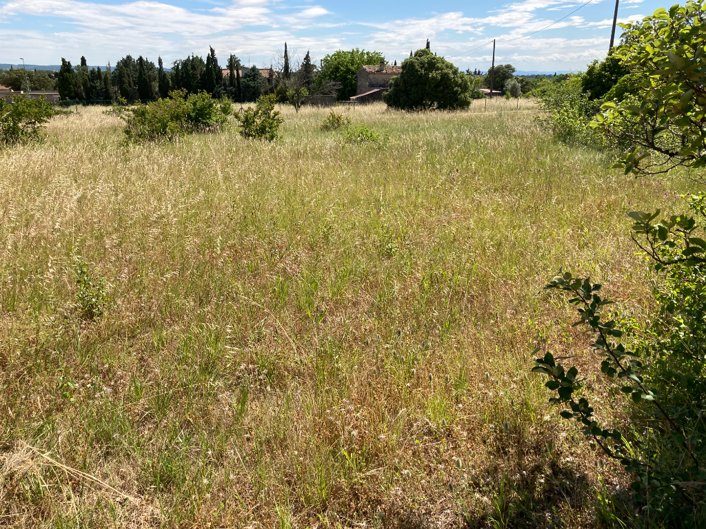 A Taulignan magnifique Terrain constructible de 975 m2 au calme avec vue dégagée et proche des commodités, Annie 0668368774 A Taulignan magnifique Terrain constructible de 975 m2 au calme avec vue dégagée et proche des commodités, Annie 0668368774