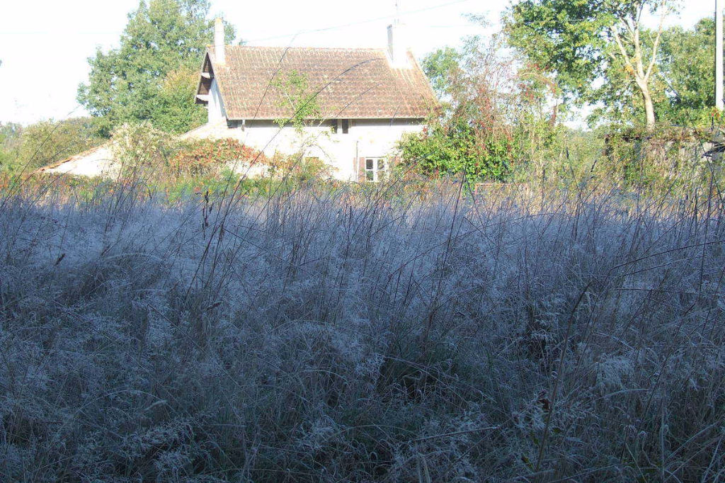 Vitray -Terrain constructible 3300 m² + Petite maison sur 500m² à la lisière du forêt . Vitray -Terrain constructible 3300 m² + Petite maison sur 500m² à la lisière du forêt .