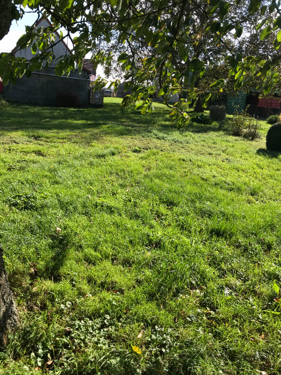 Terrain Vimy 1300 m2 Terrain Vimy 1300 m2