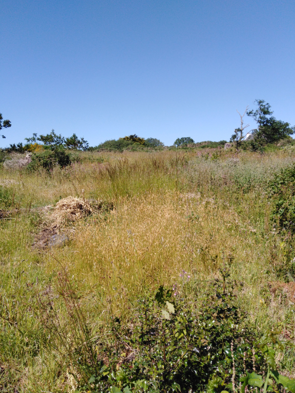 Lanildut terrain constructible Lanildut terrain constructible