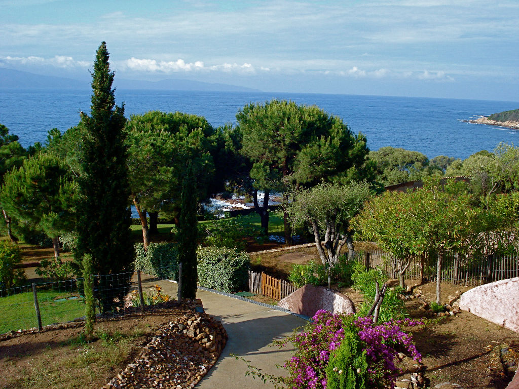 Demeure de prestige 6 pièce(s) 200 m2 les pieds dans l'eau à 20mm d'Ajaccio Demeure de prestige 6 pièce(s) 200 m2 les pieds dans l'eau à 20mm d'Ajaccio