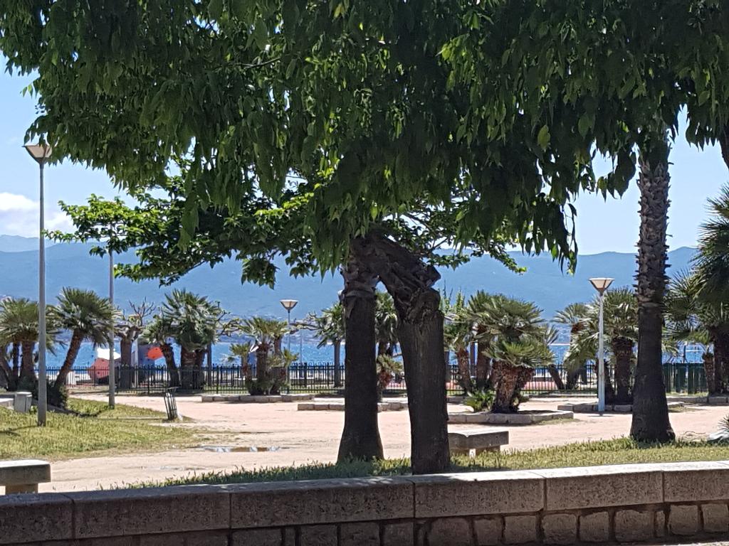 Ajaccio Vente murs commerciaux face à la mer possibilité de droit au bail Ajaccio Vente murs commerciaux face à la mer possibilité de droit au bail