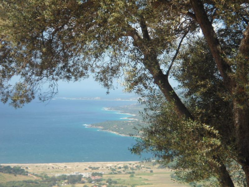 Demeure de prestige proche Propriano 10 pièce(s) 4000 m2 vue imprenable Demeure de prestige proche Propriano 10 pièce(s) 4000 m2 vue imprenable