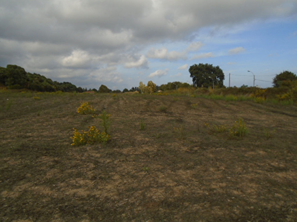 Terrain 40000 m2 Terrain 40000 m2