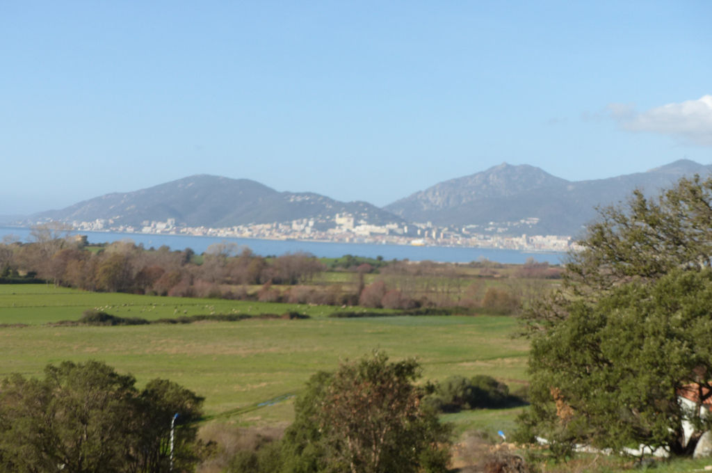 Terrain Porticcio 963m² m2 Terrain Porticcio 963m² m2