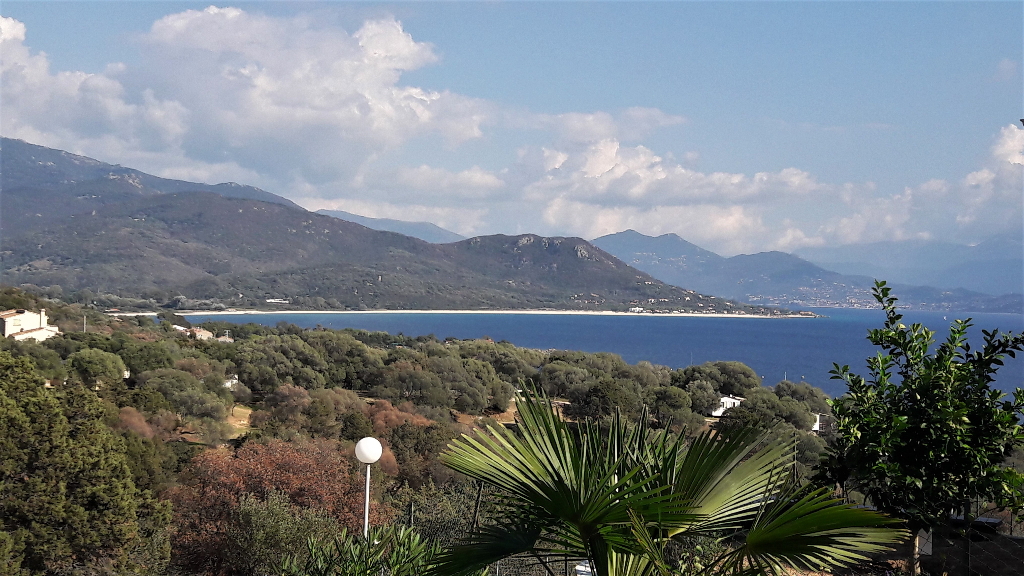 Villa PORTO POLLO vue mer, 5 pièce(s) 150 m2 Villa PORTO POLLO vue mer, 5 pièce(s) 150 m2