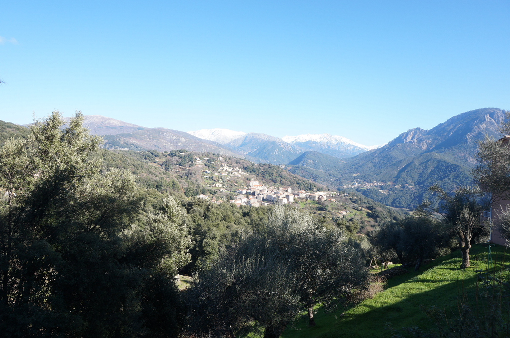 Terrain Vico 2350 m2 Terrain Vico 2350 m2