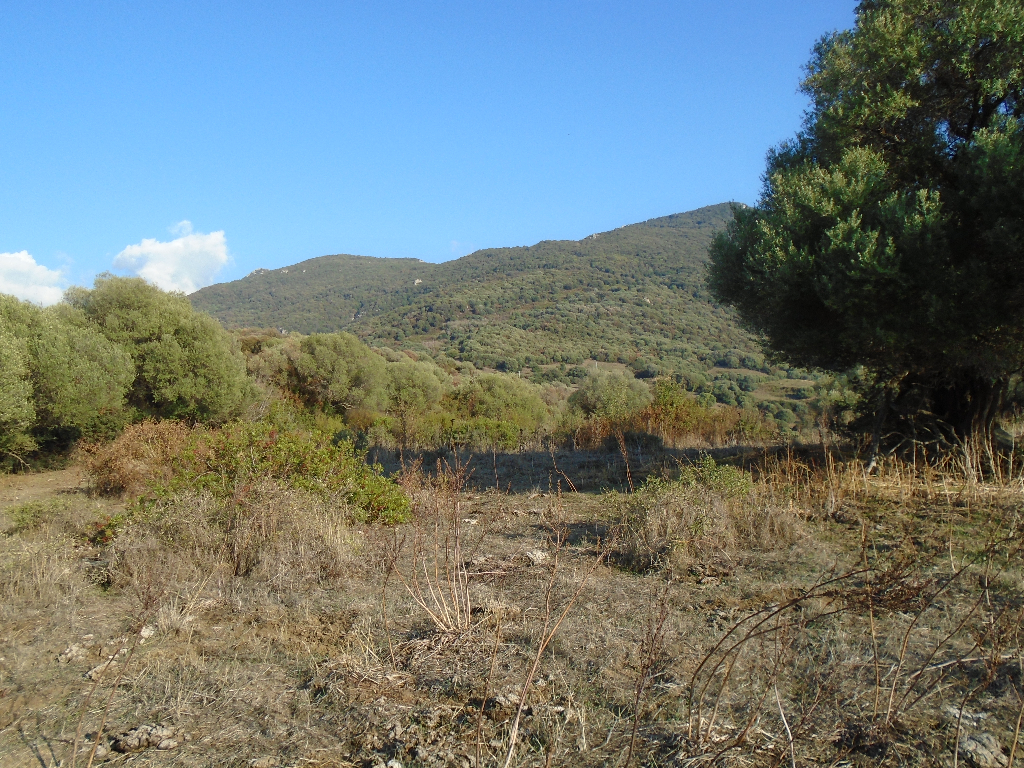 Terrain Sollacaro 58000 m2 Terrain Sollacaro 58000 m2