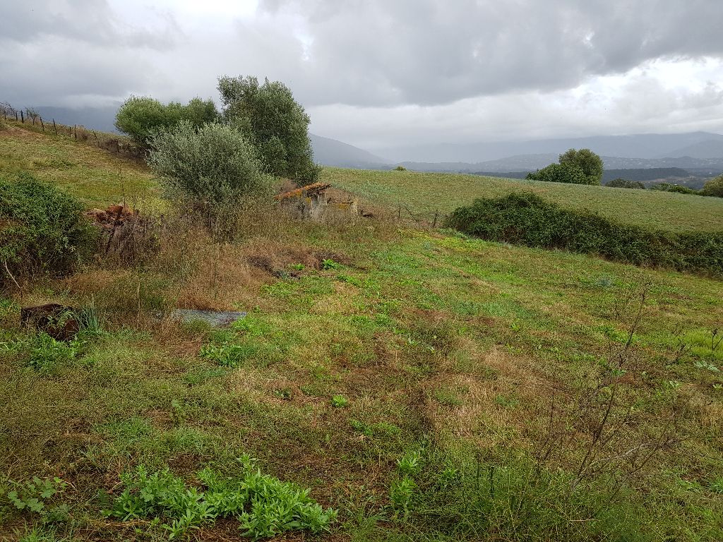 Terrain Afa 2200 m2 constructinle Terrain Afa 2200 m2 constructinle