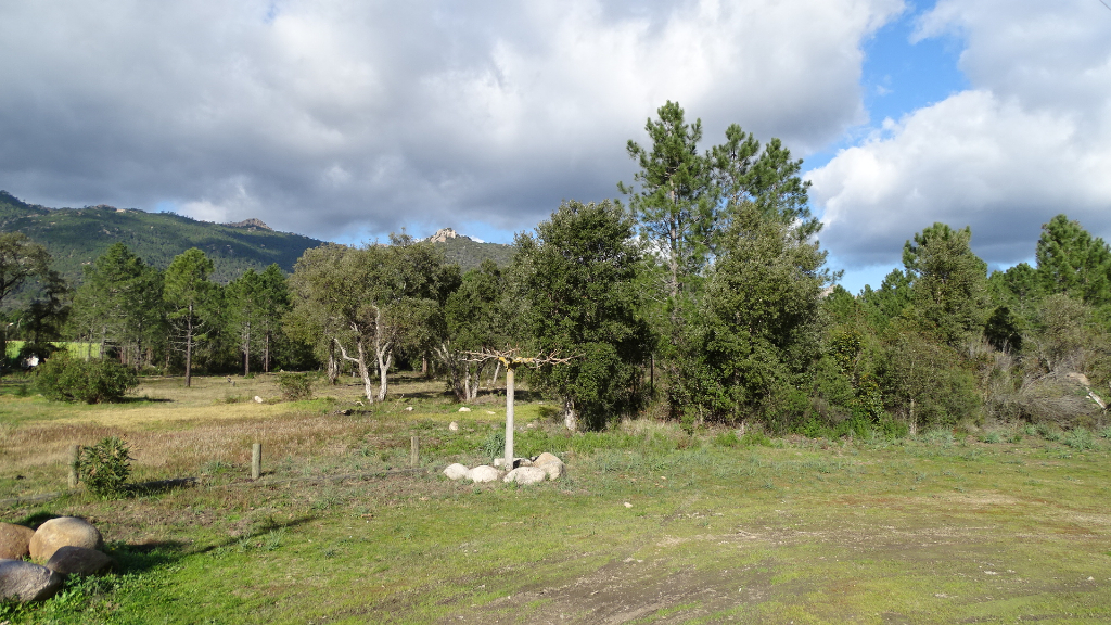 Terrain San Gavino Di Carbini 10000 m2 Terrain San Gavino Di Carbini 10000 m2