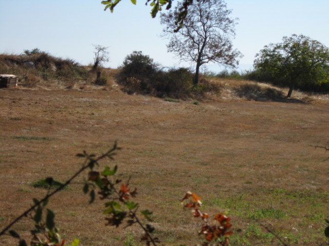 Boen prox. terrain 1000 m2 Boen prox. terrain 1000 m2