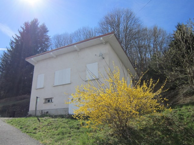 Prox. Noirétable Maison 3 chambres et 4500m² de terrain Prox. Noirétable Maison 3 chambres et 4500m² de terrain