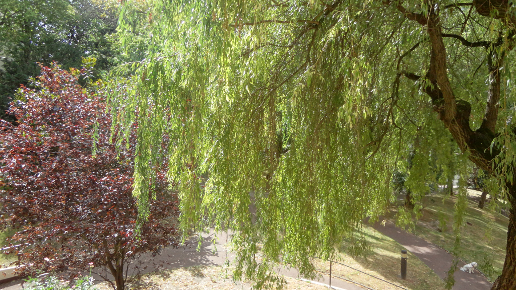 La Celle Saint Cloud. A vendre dans une résidence au calme entourée de verdure appartement 3 pièces ! La Celle Saint Cloud. A vendre dans une résidence au calme entourée de verdure appartement 3 pièces !