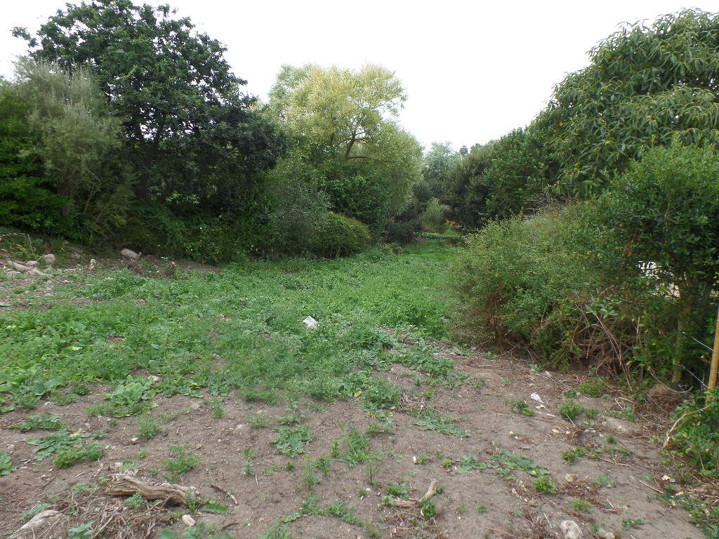 A VENDRE PLOUARZEL TERRAIN A BATIR 332m² A VENDRE PLOUARZEL TERRAIN A BATIR 332m²