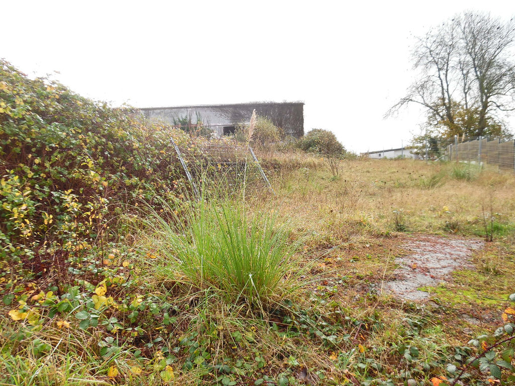 A VENDRE GOUESNOU TERRAIN CONSTRUCTIBLE 3200M² HORS LOTISSEMENT A VENDRE GOUESNOU TERRAIN CONSTRUCTIBLE 3200M² HORS LOTISSEMENT