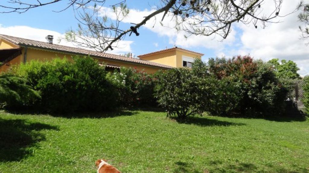 VILLA AVEC DEUX HABITATIONS SUR TERRAIN D'UN HECTARE VILLA AVEC DEUX HABITATIONS SUR TERRAIN D'UN HECTARE