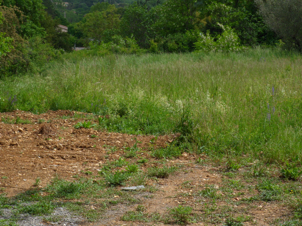Terrain 915 m2 Terrain 915 m2