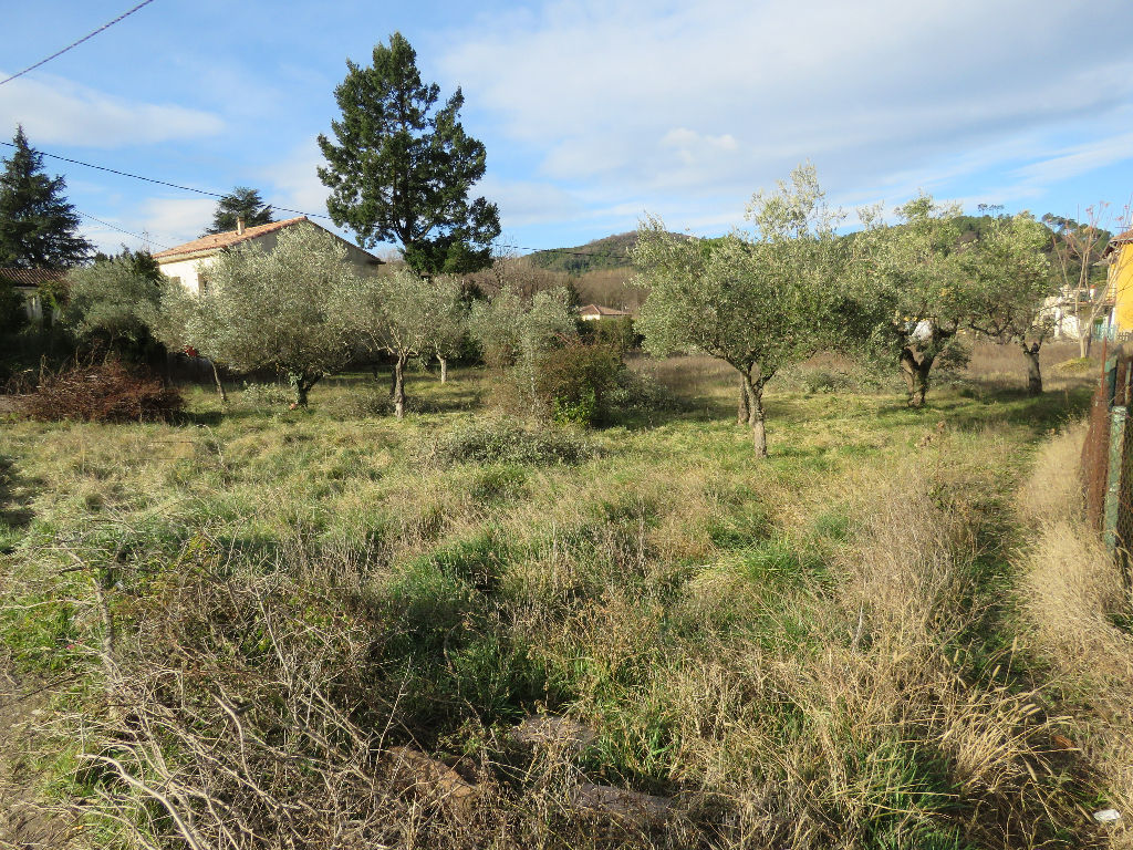 TERRIN A BATIR SAINT AMBROIX CENTRE TERRIN A BATIR SAINT AMBROIX CENTRE
