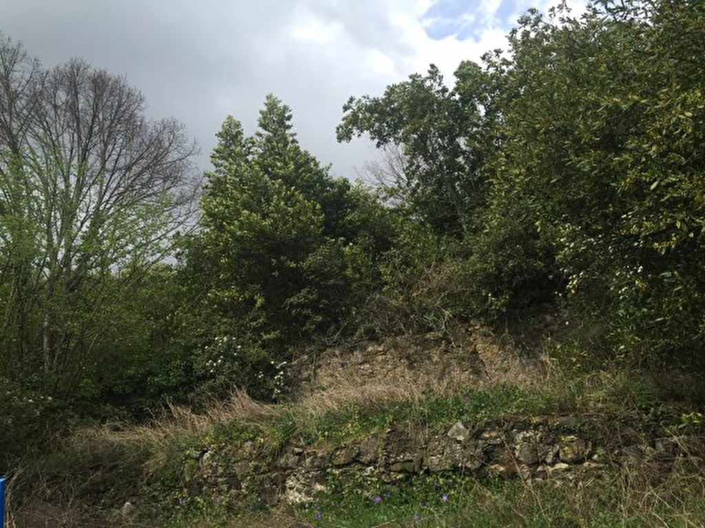 Grand terrain en partie constructible Grand terrain en partie constructible