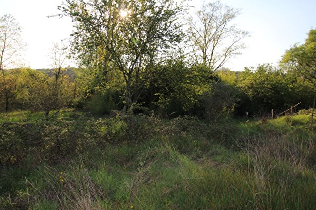 Terrain Saint Paul Le Jeune 2190 m2 Terrain Saint Paul Le Jeune 2190 m2