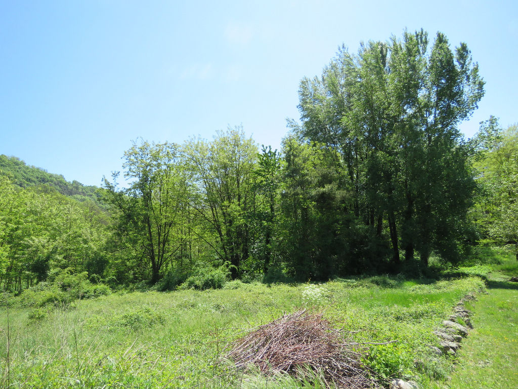 TERRAIN DE 6449 M² CONSTRUTIBLE EN PARTIE TERRAIN DE 6449 M² CONSTRUTIBLE EN PARTIE
