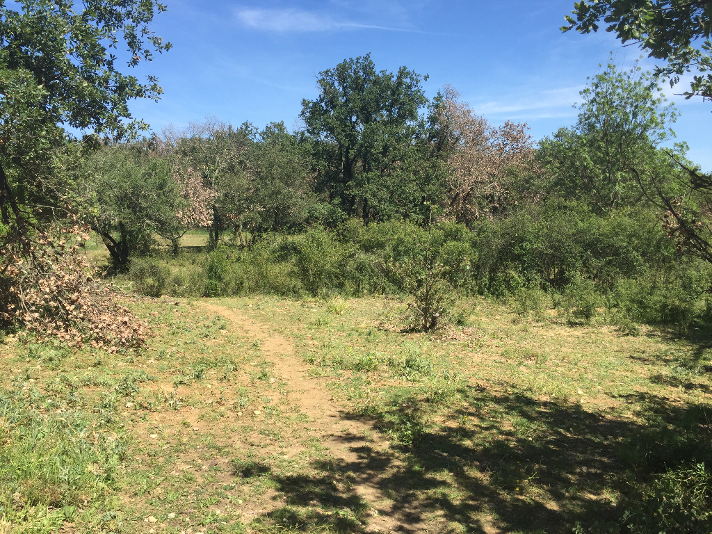 Terrain constructible, bel environnement Terrain constructible, bel environnement