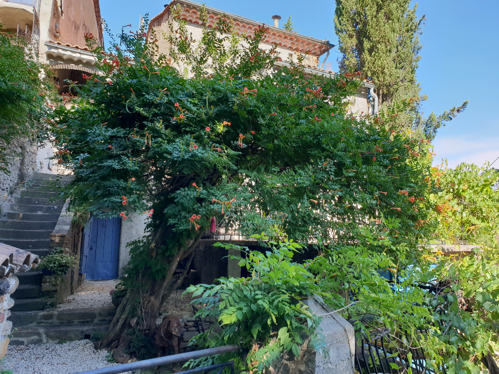 MAS RÉNOVÉ AVEC COUR ET TERRASSES MAS RÉNOVÉ AVEC COUR ET TERRASSES