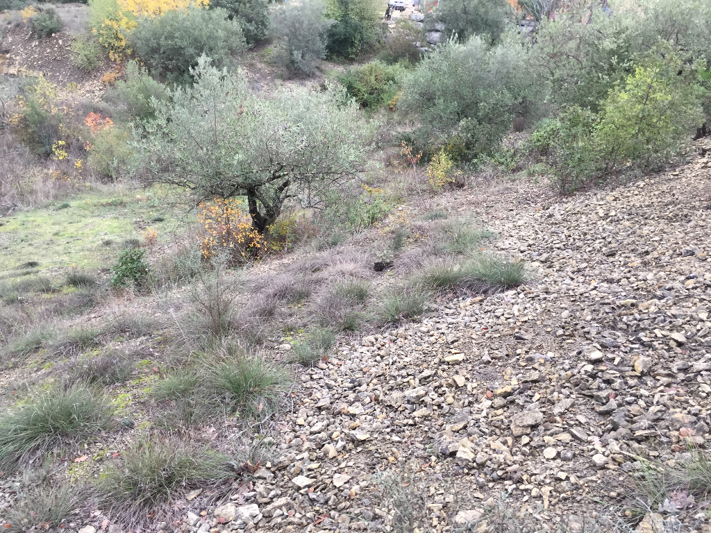 Terrain St Bres Terrain St Bres