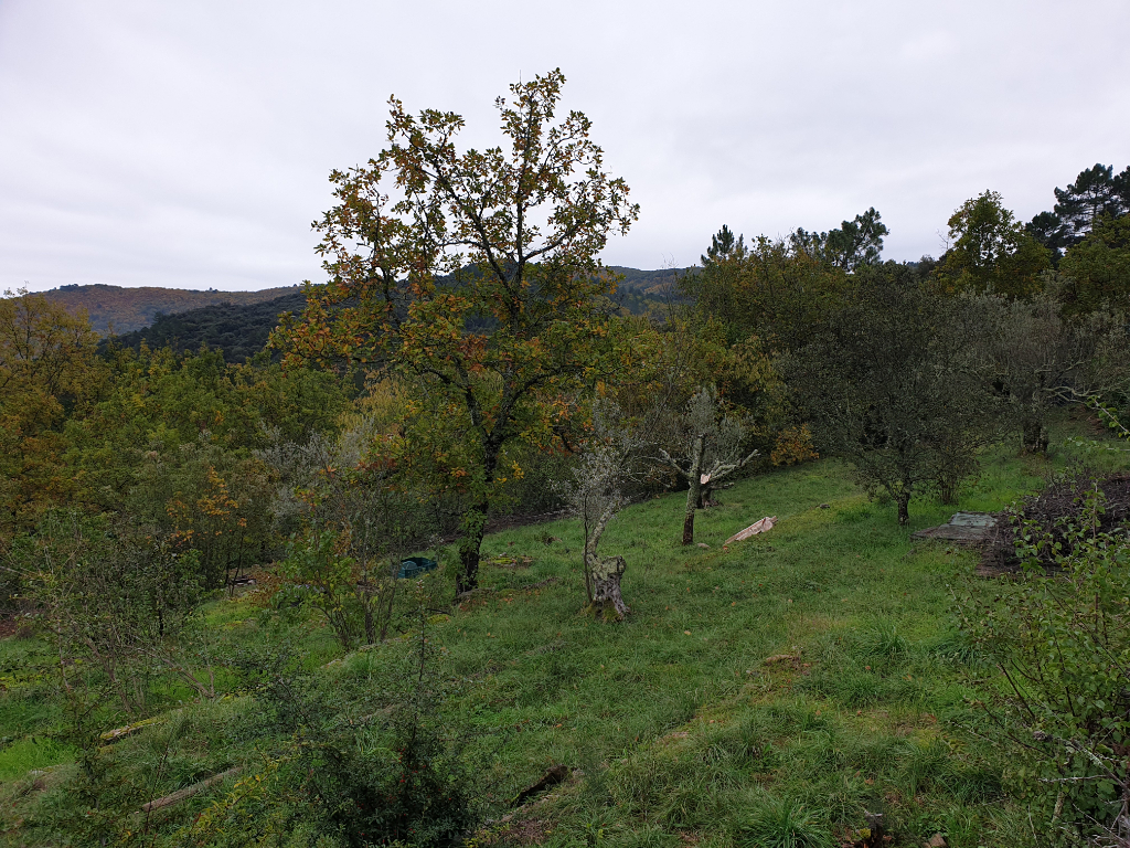 TERRAIN CONSTRUCTIBLE TERRAIN CONSTRUCTIBLE