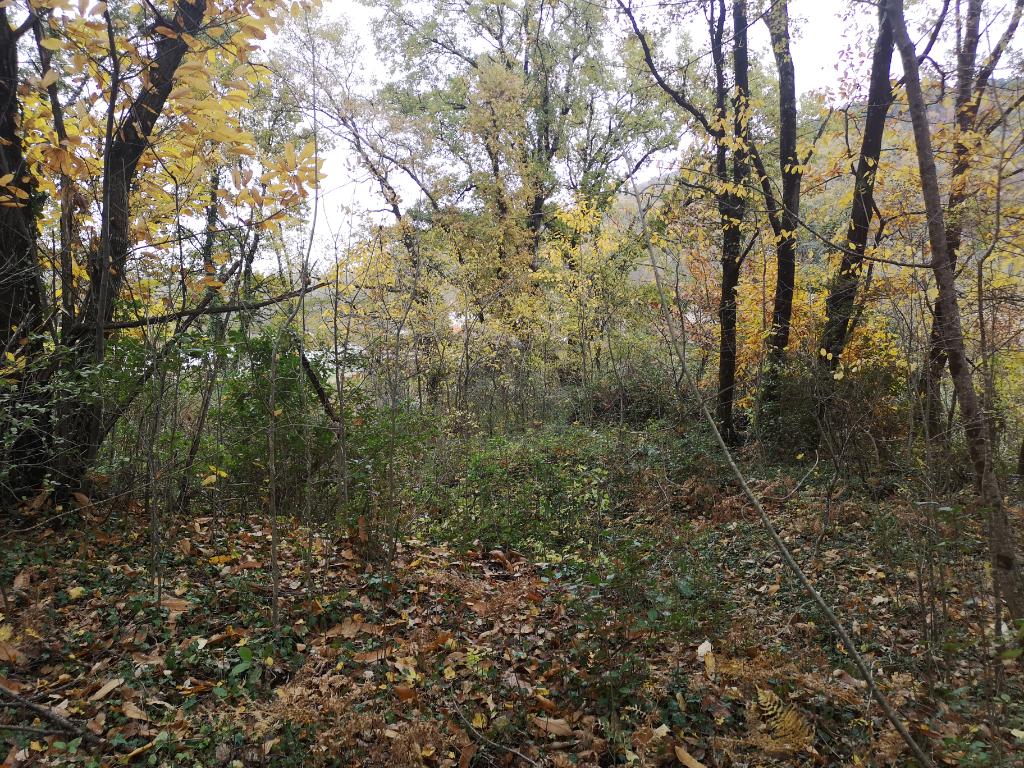 GRAND TERRAIN CONSTRUCTIBLE GRAND TERRAIN CONSTRUCTIBLE